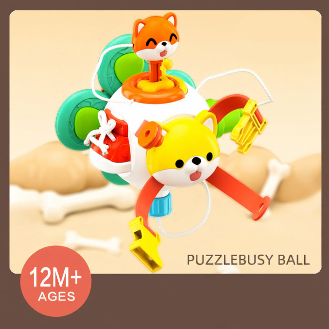 6 in 1 Baby Busy Ball